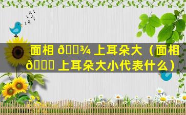 面相 🌾 上耳朵大（面相 🐟 上耳朵大小代表什么）